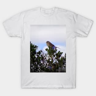 White crowned sparrow in a blue blossom Ceanothus Thyrsiflorus bush 3 T-Shirt
